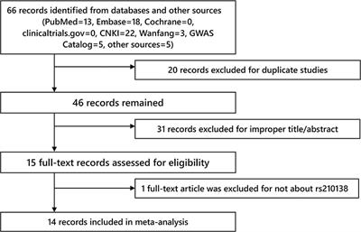 Association Between BAK1 Gene rs210138 Polymorphisms and Testicular Germ Cell Tumors: A Systematic Review and Meta-Analysis